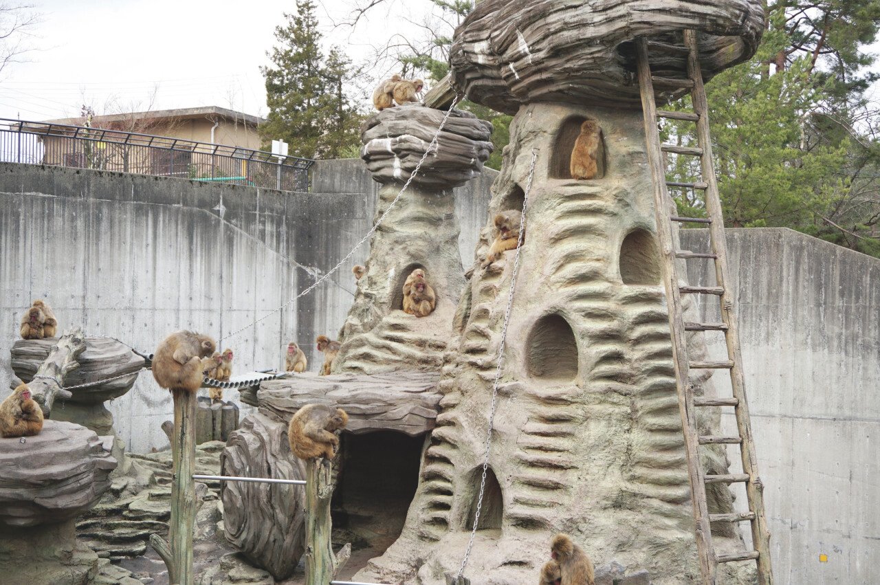 悠久山小動物園