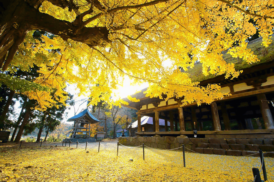 新宮熊野神社