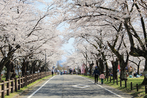 村松公園